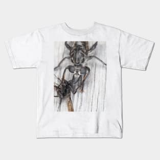 Robber fly with prey Kids T-Shirt